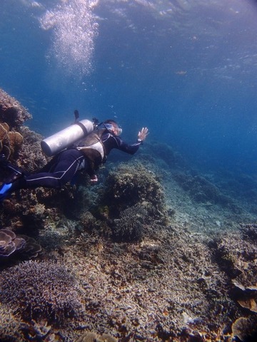 P1308201 (480x640)