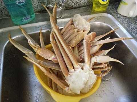IMG20161227170219 (640x480)