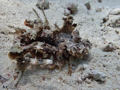 P9160037 (640x480)