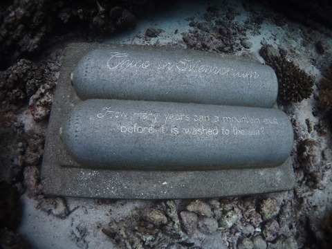 PB260157 (640x480)
