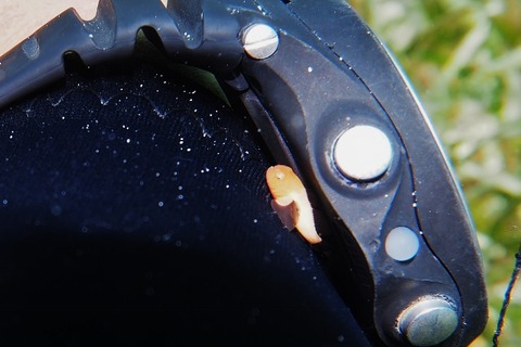 P6140430 (640x427)