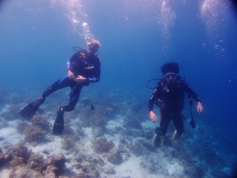 P8223059 (640x480)