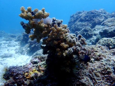 P6160096
