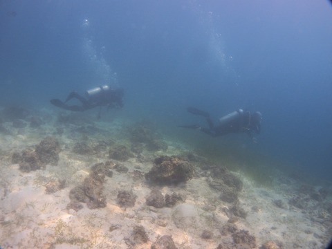 P1210002