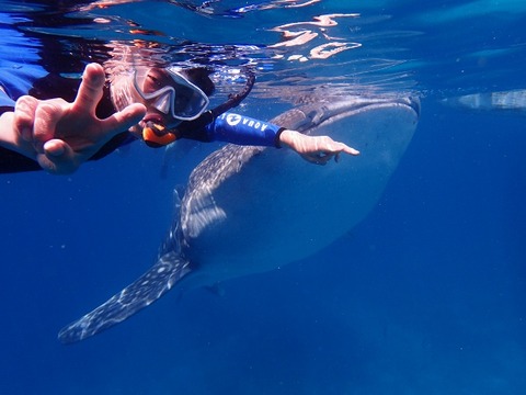 P8260092 (640x480)