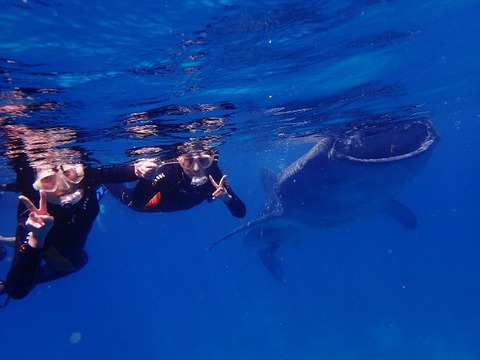 P8260145 (640x480)