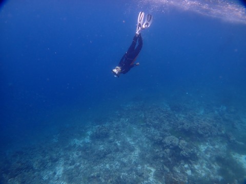 P4270012