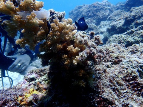 P6160094