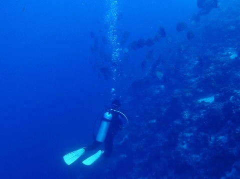 P3018591 (640x479)
