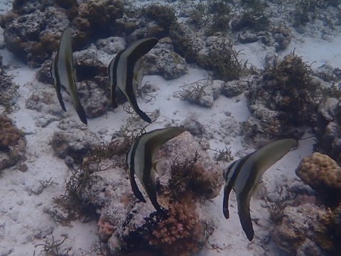 IMG_20260827_093623