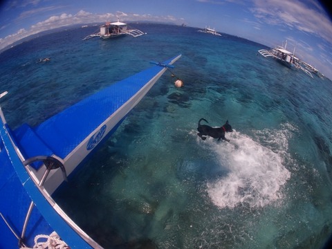 P2188256 (640x480)