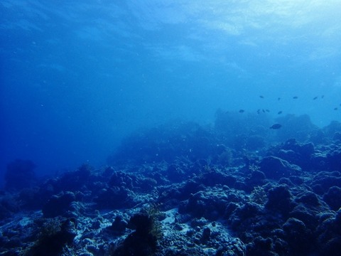 PB270428 (640x480)