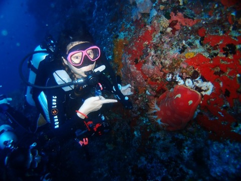 P1015631 (640x480)
