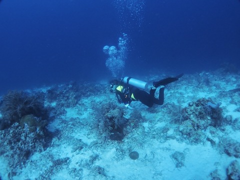 PA270009 (640x480)