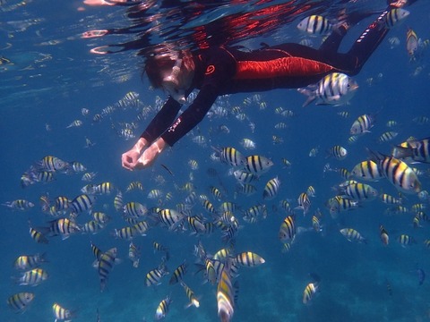 P5240563 (640x480)