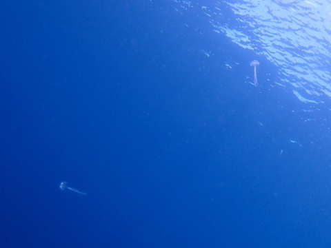 IMG_20260927_163322