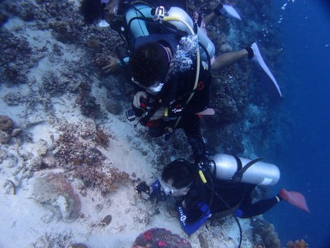 P8265184 (640x480)