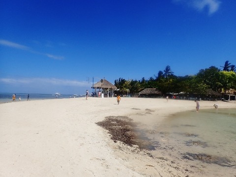 P2190168 (640x480)