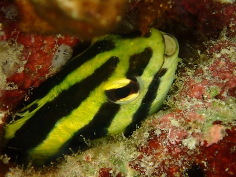 received_856229906643762