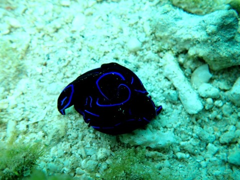 P2100054