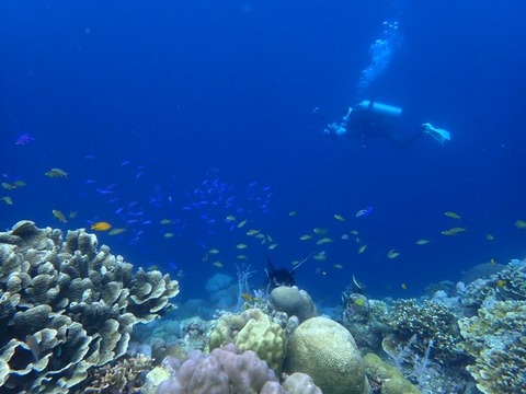 P3070140