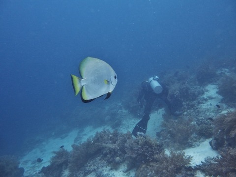 P7280202 (640x480)