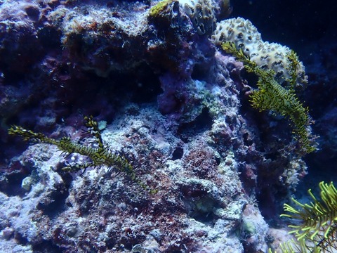 IMG_20260423_145419