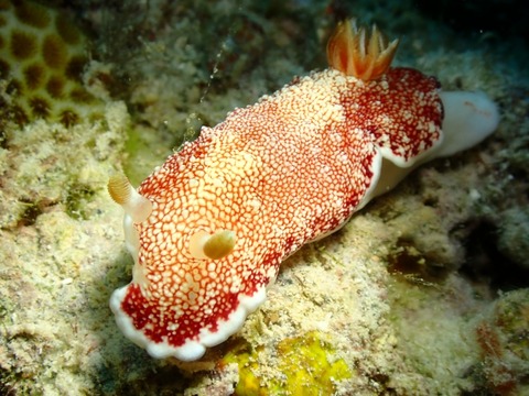 P8030023