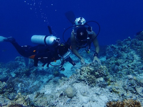 P5070928 (640x480)