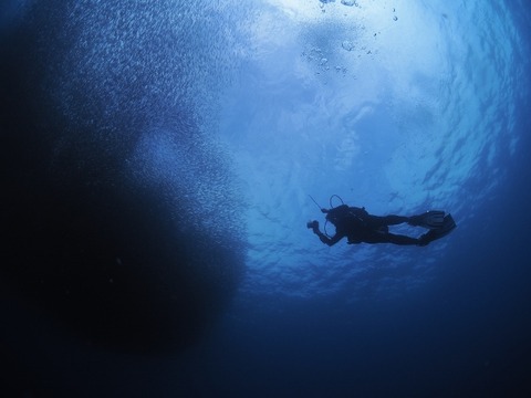 P5020185 (640x480)