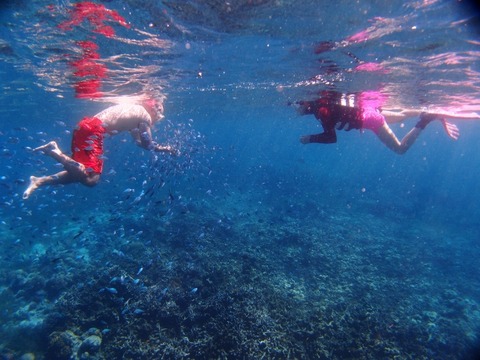 PB304482 (640x480)