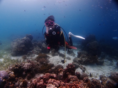 P2231191 (640x480)