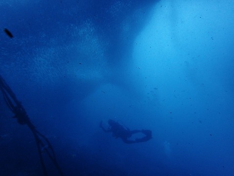 P3051625 (640x480)