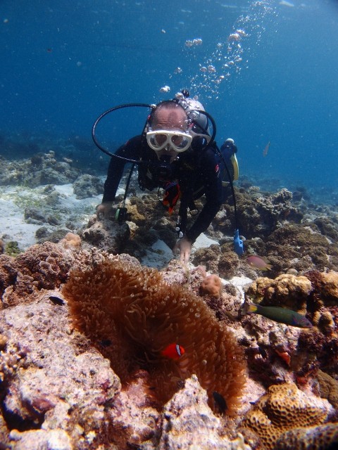 P8149744 (480x640)