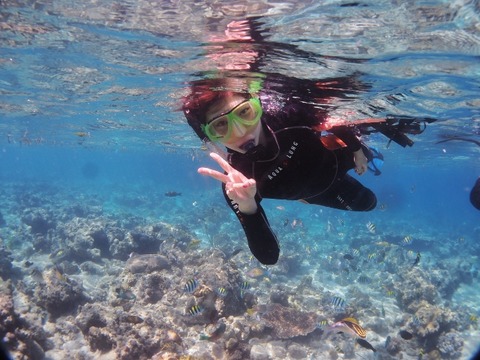 PA160027 (640x480)