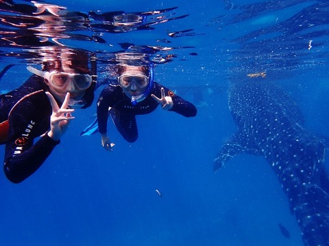P8260140 (640x480)
