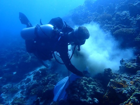 P7140024