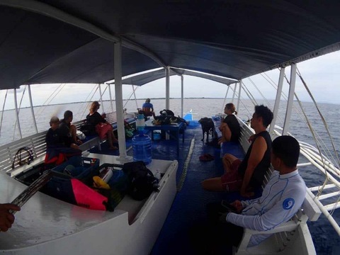 received_495010609953091