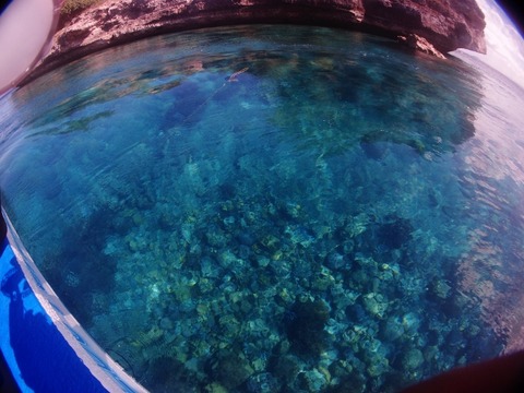 P3189537 (640x480)