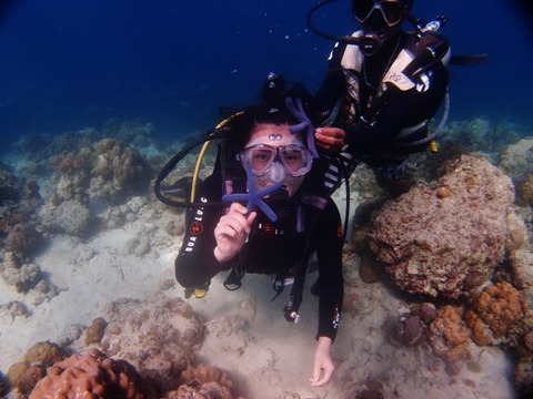 P1016642 (640x480)