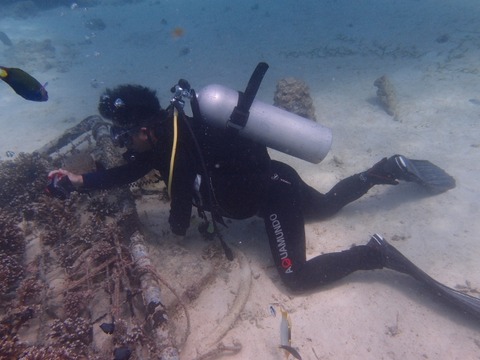 P1201916 (640x480)