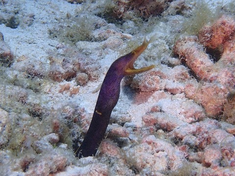 IMG_20260318_150910