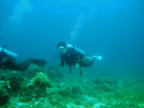 P1010073 (640x480)
