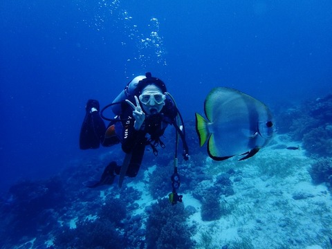P7290119 (640x480)