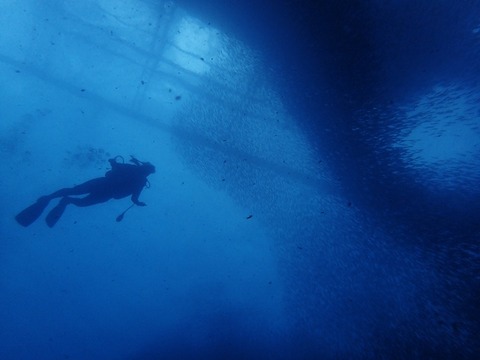 P3051635 (640x480)
