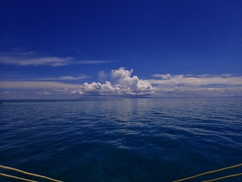 P5200019 (640x480)