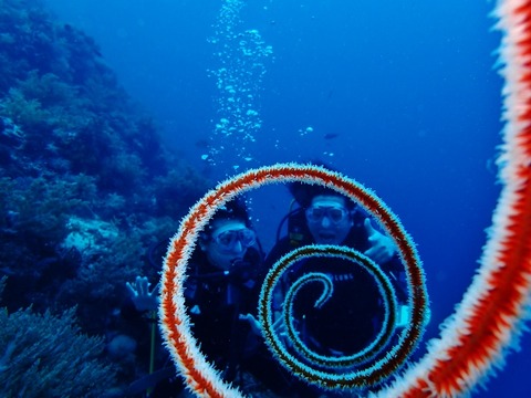 P7220128 (640x480)