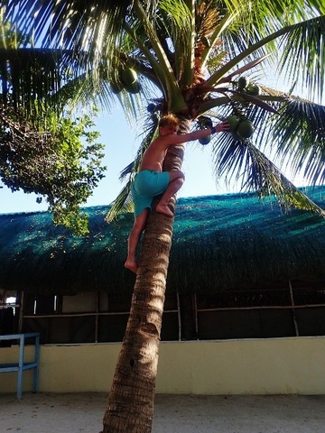 P2170034 (480x640)