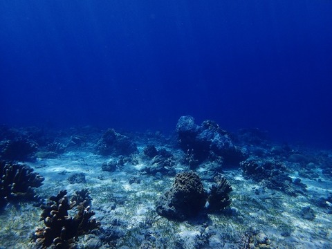 P7051876 (640x480)
