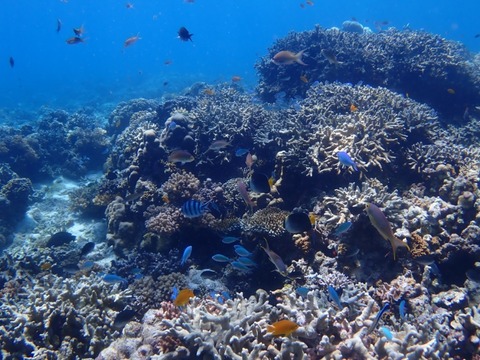P7020026